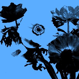 Warhol Blue 01